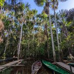 Photo taken by Ciarra N