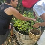 Photo taken by Robin C