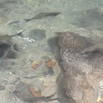 Photo taken by Harshida P