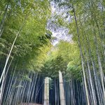 Photo taken by Laura W