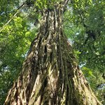 Photo taken by Touraj K