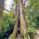 Photo taken by Mary D