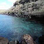 Photo taken by Patricia D