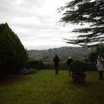 view of the vineyards from the buildings | Photo taken by Dean C