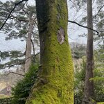 Photo taken by Kirti P