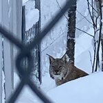 Photo taken by Sara L