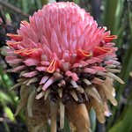 Photo taken by Sabrina R