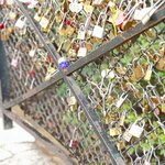 Photo taken by Michele B