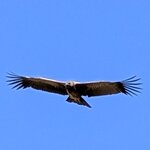 Photo taken by Agni K