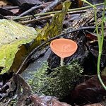 Photo taken by Jessica S