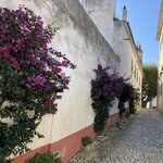 Photo taken by Deborah B