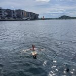 Photo taken by Andrea Y