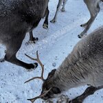 Photo taken by Raylene C