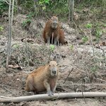 Photo taken by Insiyah K