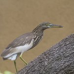 Photo taken by Graham D