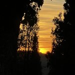 Photo taken by Martha D