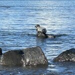 Photo taken by Jia Yi L