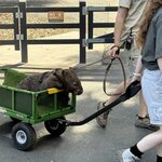 Photo taken by Gina L