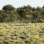 Photo taken by Peter L