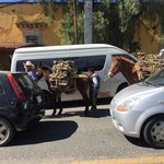 Photo taken by Zoe G