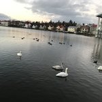 Photo taken by Alfredo H