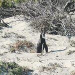 Photo taken by Crystall P