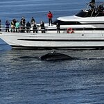 Photo taken by Adam H