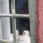 Photo taken by Janice W