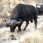 Photo taken by Tom B