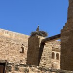 Photo taken by Paula H