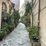 Photo taken by Cecilia M