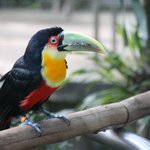 Photo taken by Kelvin V