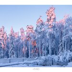 Photo taken by Ann B