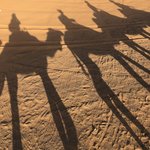 Riding through the Sahara | Photo taken by Victoria M