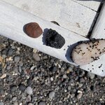 Photo taken by Cheryl L