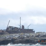 Photo taken by Robin F