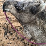 Photo taken by Leslie P