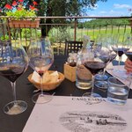 Photo taken by Diane H