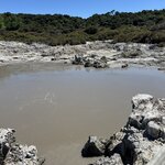 Photo taken by Sharon P