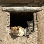 Photo taken by SARMA M