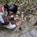 Photo taken by Barb M