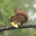 Photo taken by Marcia G