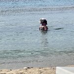 Photo taken by Sharon H