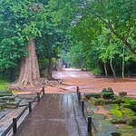 Photo taken by Jose C