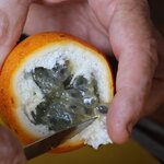 Photo taken by Miranda M