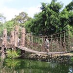 Photo taken by Mark B