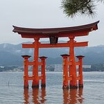 Photo taken by Anahita Darius D