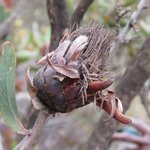 Photo taken by Kristin M