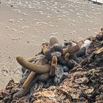 Photo taken by Jennifer A