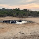 Photo taken by Anisha L